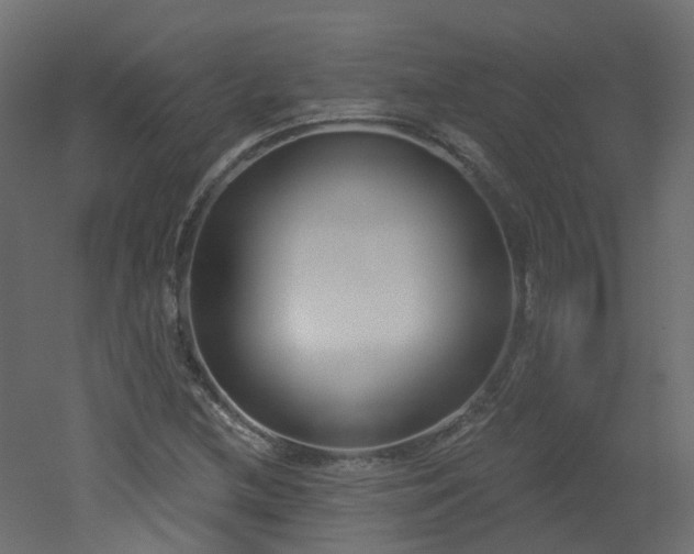 X0000051921212200506241500
