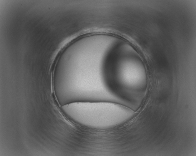 X0000051921223200506241500
