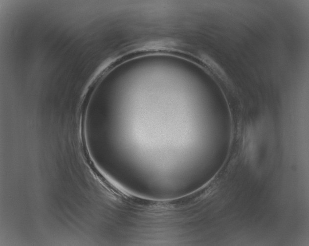 X0000051921224200506241500