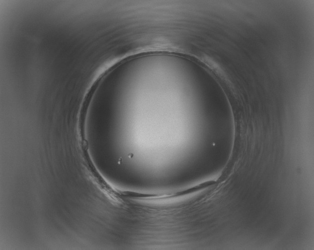 X0000051921230200506241500