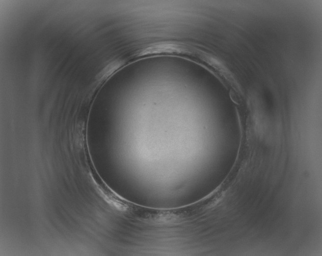 X0000051921233200506241500