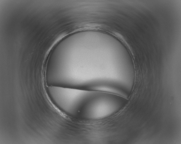 X0000051921235200506241500