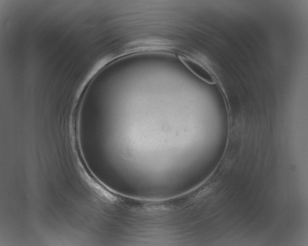X0000051921243200506241501