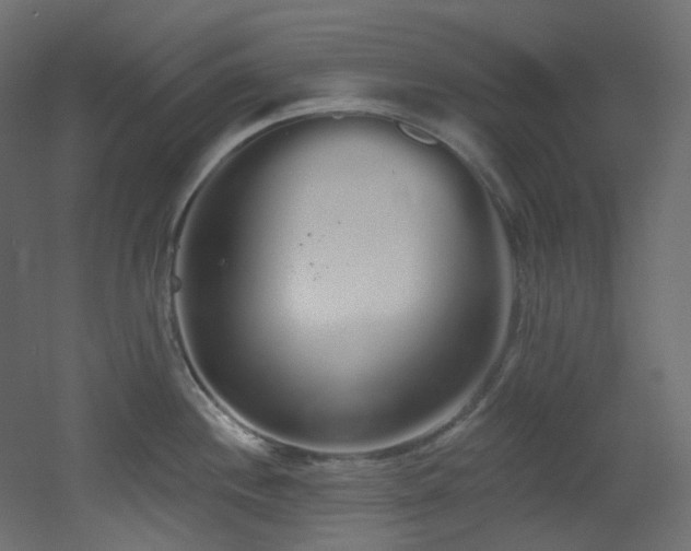 X0000051921244200506241501