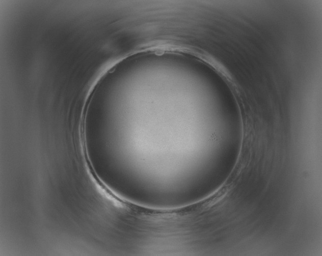 X0000051921247200506241501