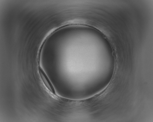 X0000051921248200506241501