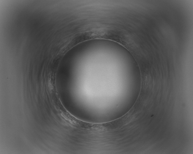 X0000051921250200506241500