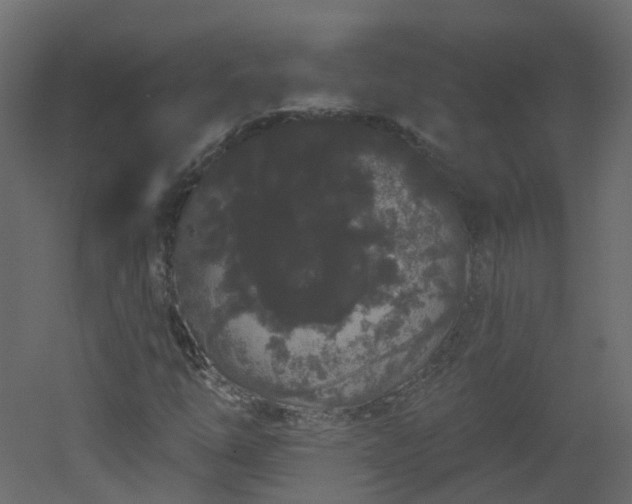 X0000051921254200506241500
