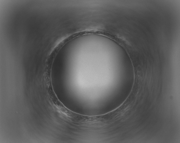 X0000051921256200506241500