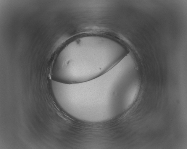 X0000051921259200506241500