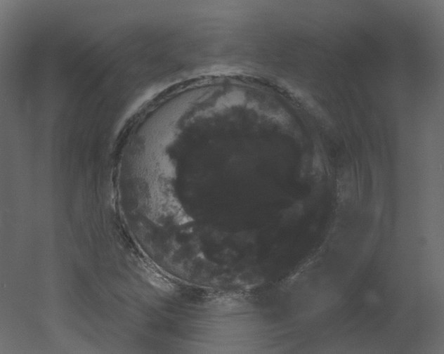 X0000051921262200506241500