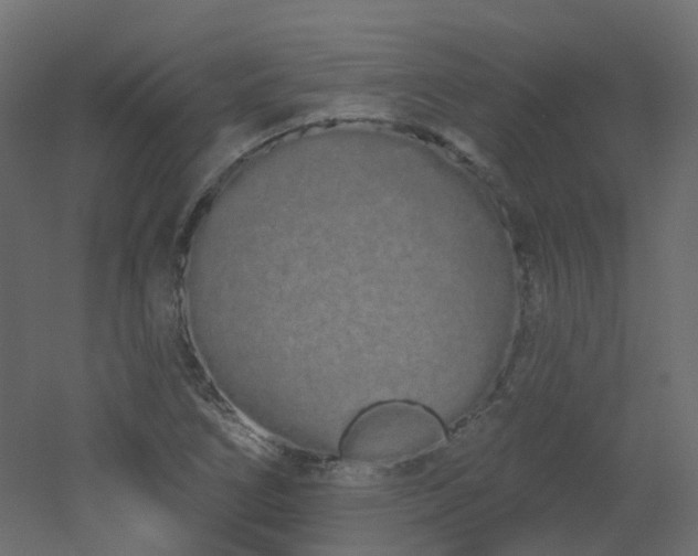 X0000051921266200506241459