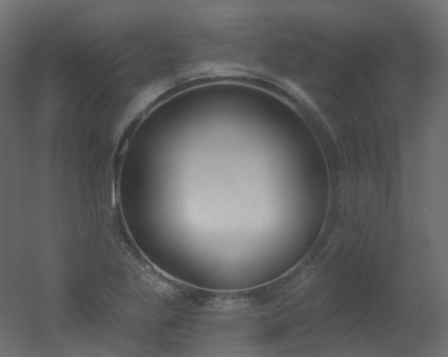 X0000051921269200506241459