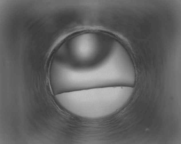 X0000051921271200506241459