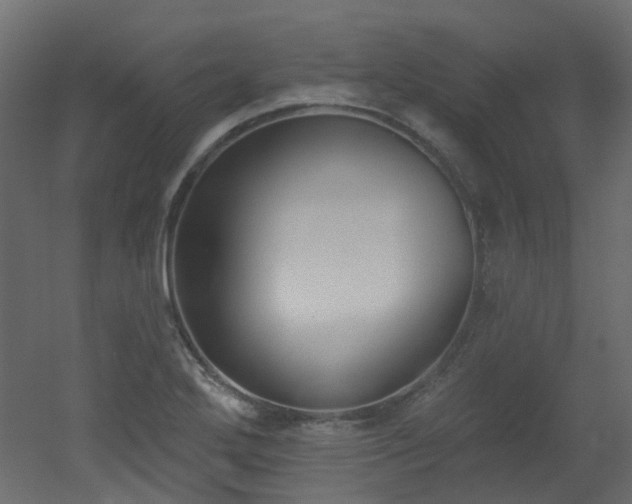 X0000051921272200506241459