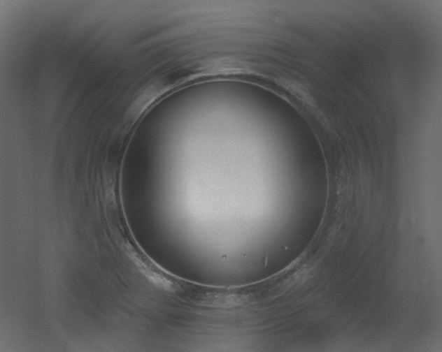 X0000051921273200506241459
