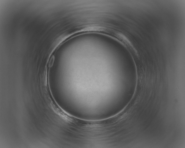 X0000051921276200506241459