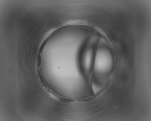 X0000051921277200506241459