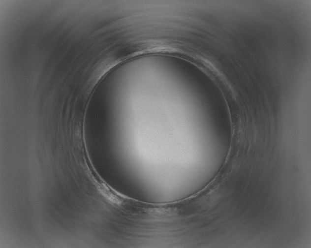 X0000051921281200506241459