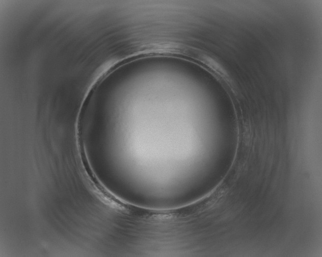 X0000051921283200506241459