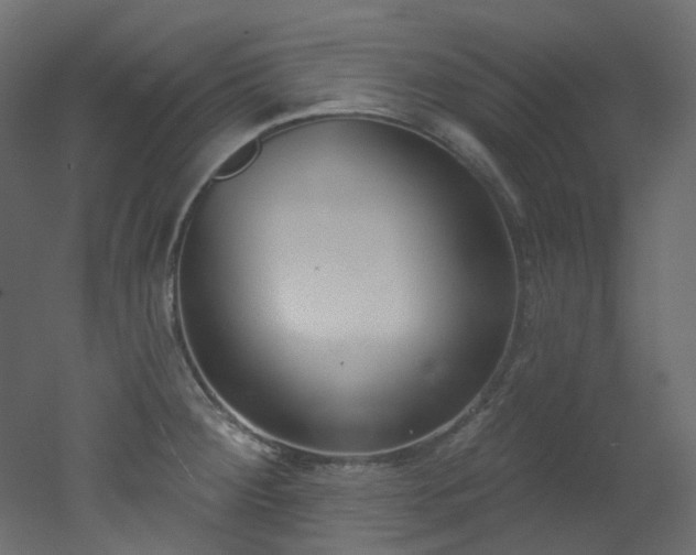 X0000051921284200506241459