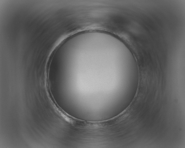 X0000051921286200506241459