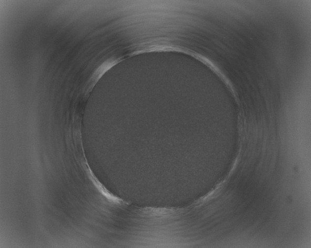 X0000051921289200506241459
