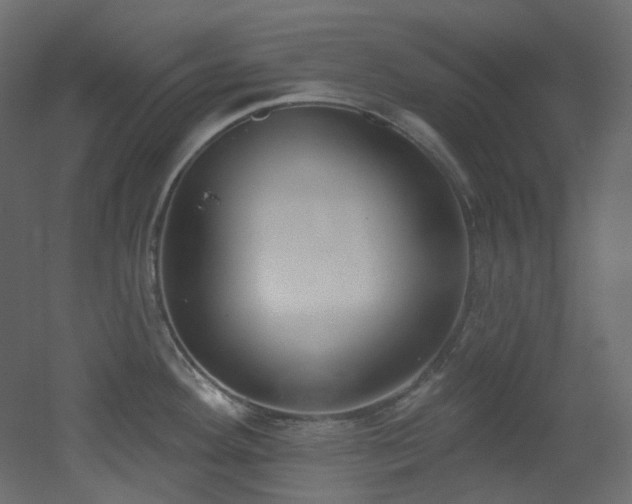 X0000051921292200506241459