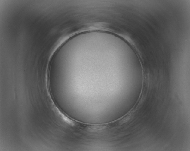 X0000051921294200506241459