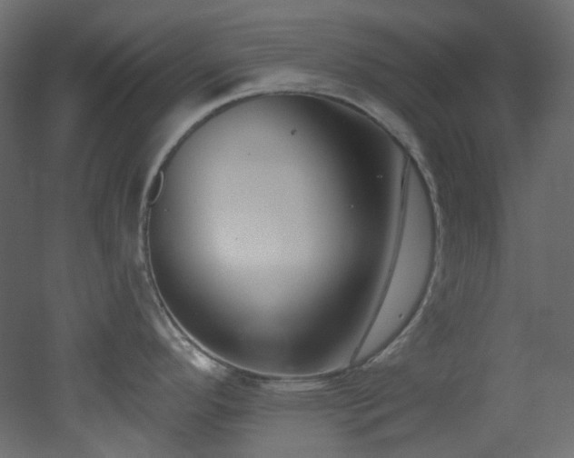 X0000051921296200506241459