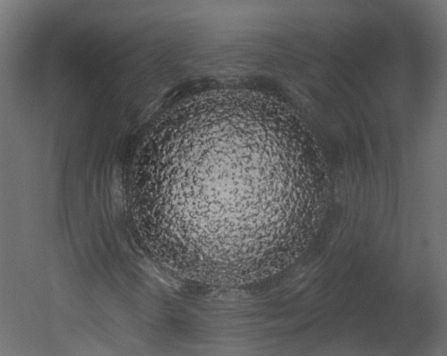 X0000051921298200506241458