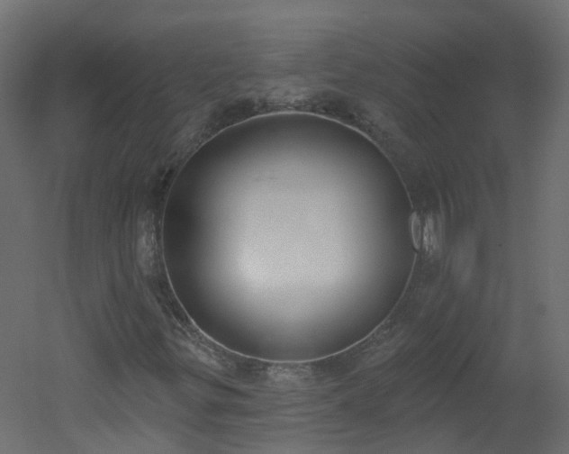 X0000051921299200506241458