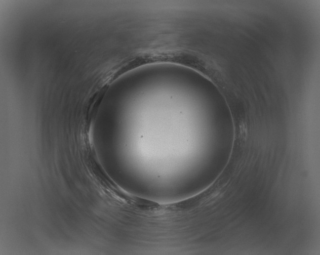 X0000051921300200506241458