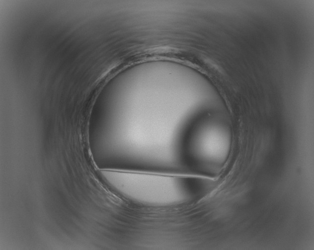 X0000051921305200506241458