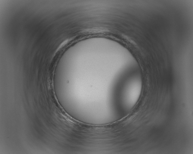 X0000051921306200506241458