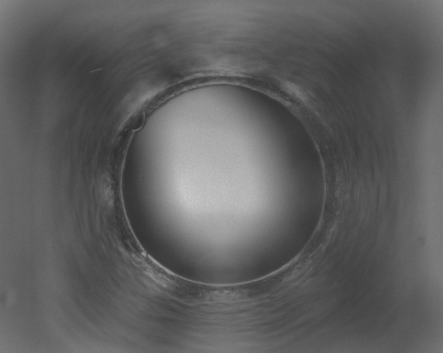 X0000051921307200506241458
