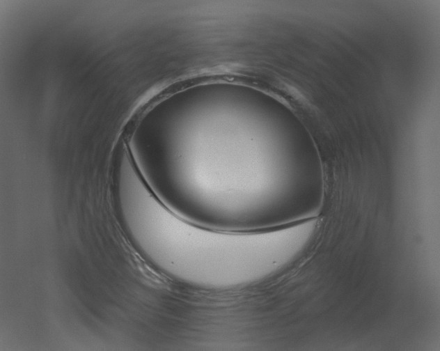 X0000051921308200506241458