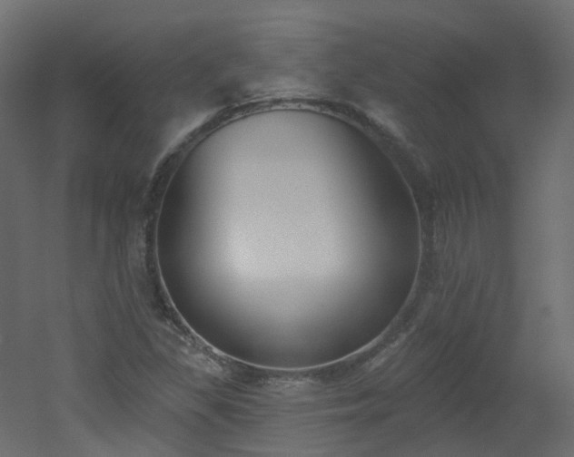 X0000051921309200506241458