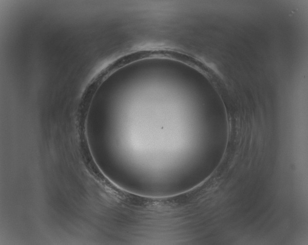 X0000051921311200506241458