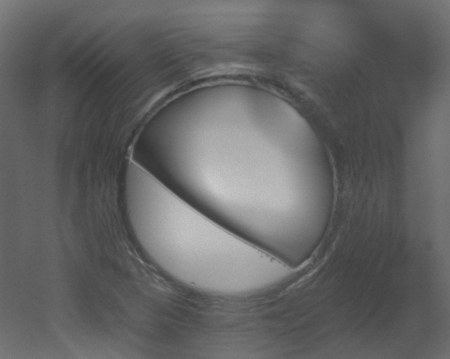 X0000051921313200506241458