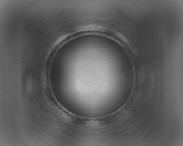 X0000051921315200506241458