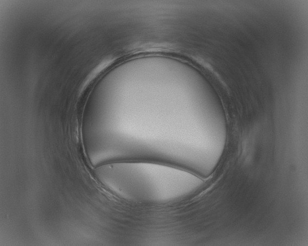 X0000051921317200506241459