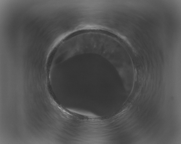 X0000051921319200506241459