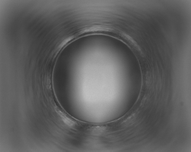 X0000051921321200506241459