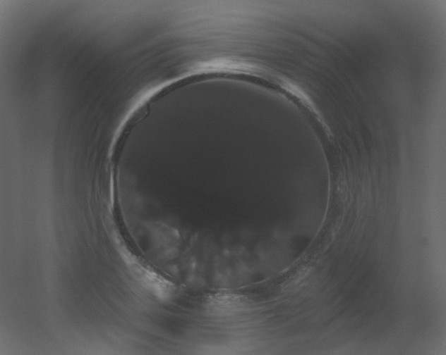 X0000051921323200506241459