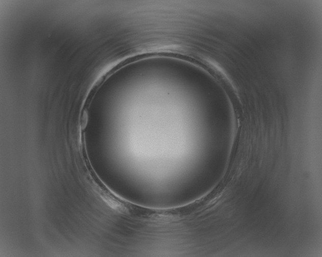 X0000051921324200506241459