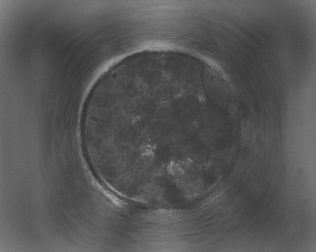 X0000051921327200506241459