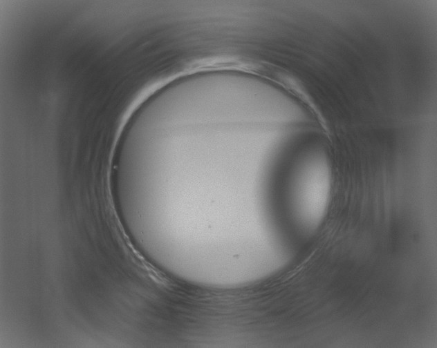 X0000051921328200506241459