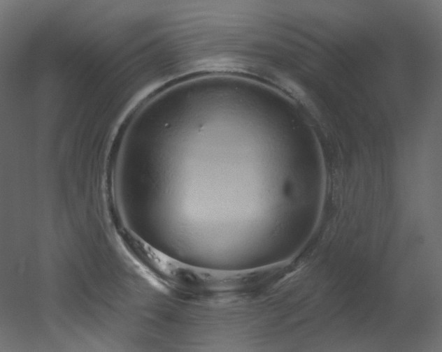 X0000051921331200506241459