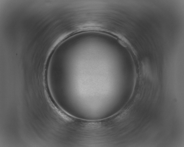 X0000051921333200506241459